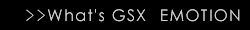 GSX EMOTIONとは