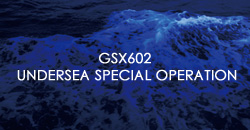 GSX602BTS