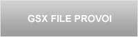 GSX FILE PROVOI