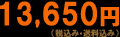 13,650円(税込み・送料込み)